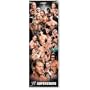 Empire 106063 Wrestling - WWE - Collage - Sport Plakat T�r Poster - 53 x 158 cm