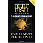 Reef Fish Identification: Florida, Caribbean, Bahamas book cover