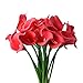 Wuudi 20pcs Calla Lily Bridal Wedding Bouquet Head Latex Real Touch Flower Bouquets(Red)