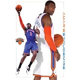 Trends New York Knicks Amar'e Stoudemire Poster
