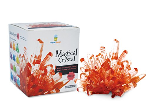 Magical Crystal Growing Kit - Ruby Red w T Samuel Treasure