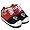 Atlanta Falcons