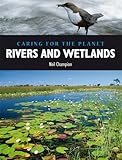 Rivers and wetlands