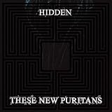 Hidden [VINYL]