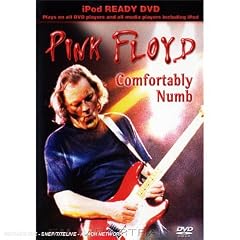Pink Floyd - Comfortably Numb [DVD]