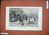 1884 Dadd Fine Art Puppy Dogs Cage Guard Animals Pets