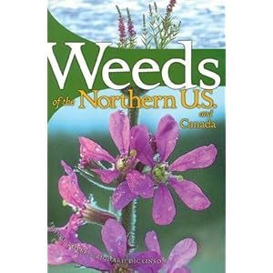 Weeds of the Northern U.S. And Canada