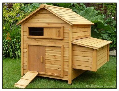 Chicken Coop - Traditional Wooden Design - Up 