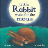 Little Rabbit Waits For the Moon (Meadowside PIC Books)