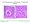 Oncology Slide Library