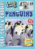 Lots and Lots of Playful Penguins and Their Happy Feet