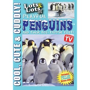 Lots and Lots of Playful Penguins & Their Toe-Tappin Feet -All About Penguins DVD
