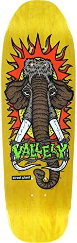 Street Plant Vallely Mammoth Street Dk - 9.5x32.62 Yel