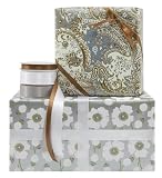 The Gift Wrap Company Sterling Set Gift Wrap And Ribbon Kit