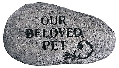 Our Beloved Pet Stone