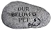 Our Beloved Pet Stone