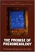 Book The Promise of Phenomenology: Posthumous Papers of John Wild