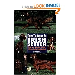 Guide to Owning an Irish Setter: Puppy Care, Grooming, Training, History, Health, Breed Standard (Re Dog)