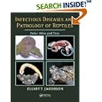 Infectious Diseases and Pathology of Reptiles: Color Atlas and Text by Elliott Jacobson
