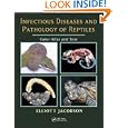 Infectious Diseases and Pathology of Reptiles: Color Atlas and Text