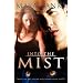Into the Mist