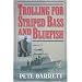 Trolling for Striped Bass and Bluefish