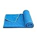 MANSOV Non Slip Yoga Mat Towel for Hot Yoga,Fitness, Exercise and Pilates -Super-Absorbent-Multi-Purpose-Carry Mesh Bag-Plum Point Design, Blue