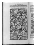 Historic Print (XL): [Men chopping wood, damming stream, and washing ore demonstrate a sluicing method for ob