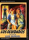 Young And The Damned (Los Olvidados)