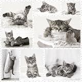 Puzzle 1000 pièces carré - Chats