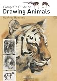 Complete Guide to Drawing Animals