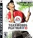 Tiger Woods PGA Tour 10