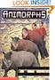 The Warning (Animorphs #16)