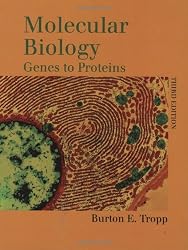 Molecular Biology: Genes to Proteins