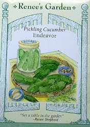 Cucumber Pickling Endeavor Seeds 30 Seeds