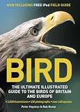 Bird: The Ultimate Illustrated Guide to the Birds of Britain and Europe