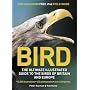 Bird: The Ultimate Illustrated Guide to the Birds of Britain and Europe