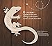 My First Book of Indonesian Words: An ABC Rhyming Book of Indonesian Language and Culture (My First Book Of...-miscellaneous/English)