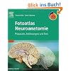 Fotoatlas Neuroanatomie mit StudentConsult-Zugang: Pr�parate, Zeichnungen und Text