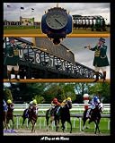 BooBoo A Day at the Races 13 x 19 Glossy Print with Double Mat