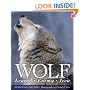 Wolf: Legend, Enemy, Icon
