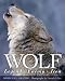 Books : Wolf: Legend, Enemy, Icon