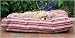 Indoor Outdoor Bed - 42 in. x 30 in. - Green