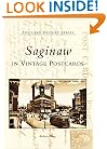 Saginaw In Vintage Postcards (MI) (Postcard History Series)