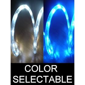 10Ft Color Selectable Rope Lights; ocean blue and pure white LED Rope Light Kit; Christmas... by DiodeArt