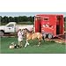 Horse Lovers Vet Play Set