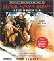 Black Hawk Down: A Story of Modern War
