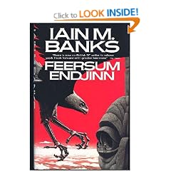 Feersum Endjinn