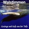 Walstimmen. Ges�nge und Rufe aus der Tiefe. CD