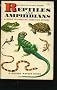 Reptiles & Amphibians :Golden Guide